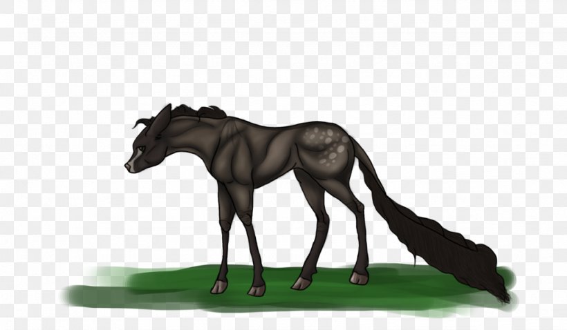 Mane Mustang Foal Stallion Colt, PNG, 1024x598px, Mane, Colt, Foal, Grass, Halter Download Free