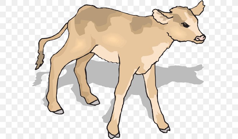 Angus Cattle Calf Clip Art, PNG, 600x479px, Angus Cattle, Animal Figure, Calf, Calfskin, Cattle Download Free