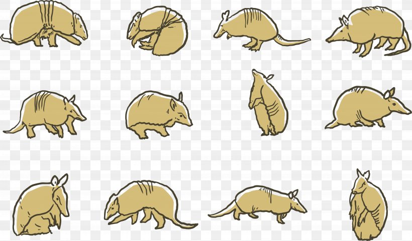 Giant Armadillo Computer Mouse Illustration, PNG, 5282x3103px, Armadillo, Animal, Carnivoran, Cartoon, Computer Mouse Download Free