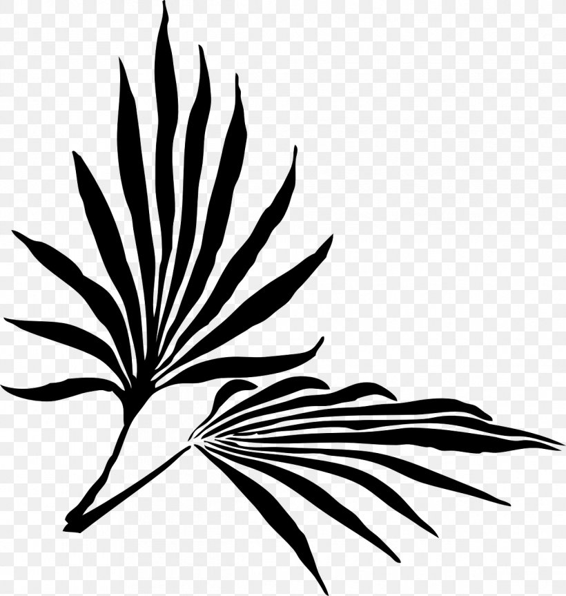 Palm Branch Frond Arecaceae Clip Art, PNG, 1215x1280px, Palm Branch, Arecaceae, Artwork, Black And White, Branch Download Free