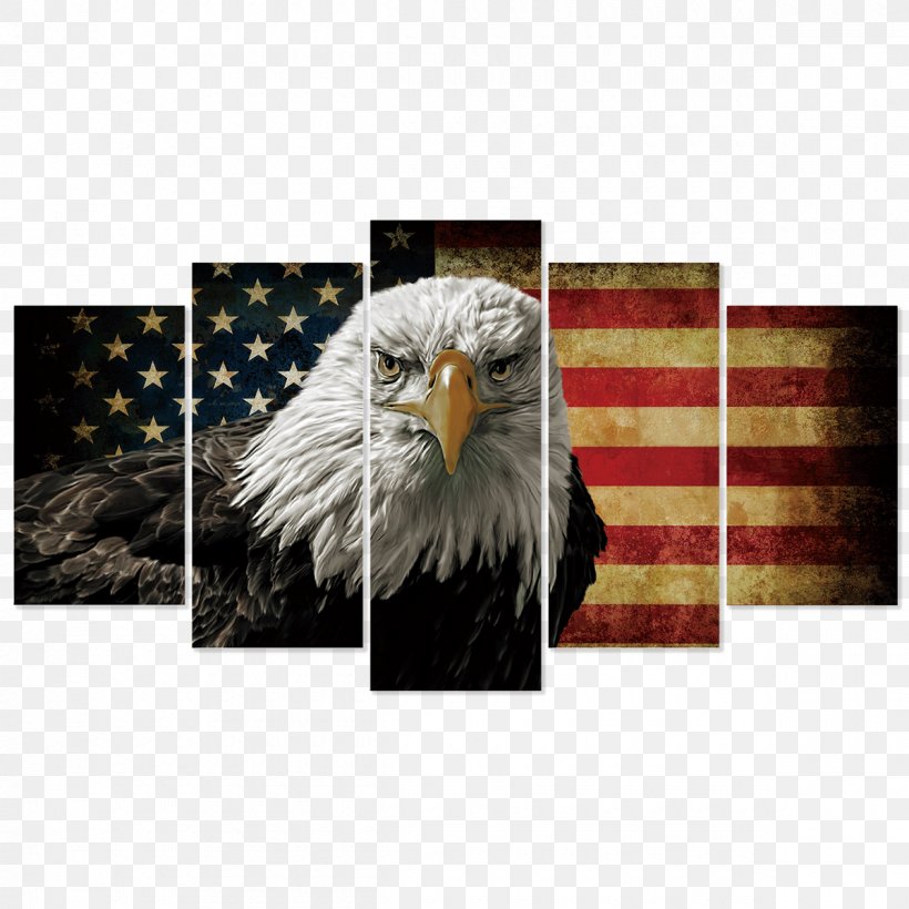 Bald Eagle United States Canvas Print Art, PNG, 1200x1200px, Bald Eagle, Accipitriformes, Art, Beak, Bird Download Free
