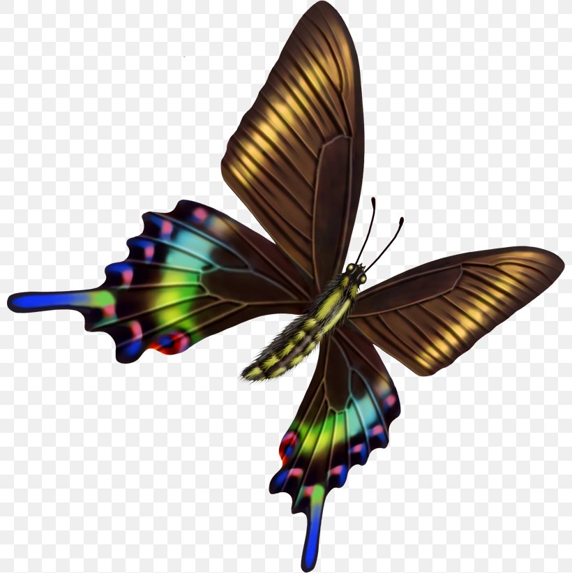 Butterfly Psychology Transparency And Translucency, PNG, 800x821px, Butterfly, Arthropod, Brush Footed Butterfly, Character Structure, Happiness Download Free