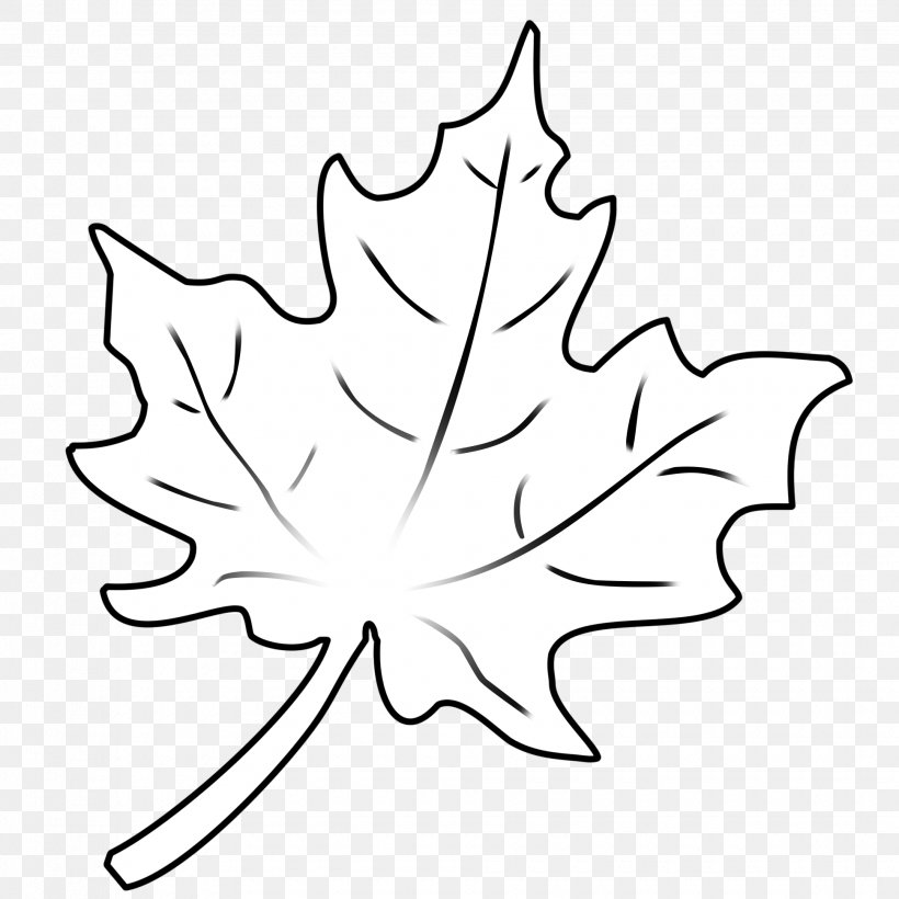 Drawing Line Art Leaf Sketch, PNG, 1940x1940px, Drawing, Artwork, Black And White, Border Collie, Branch Download Free