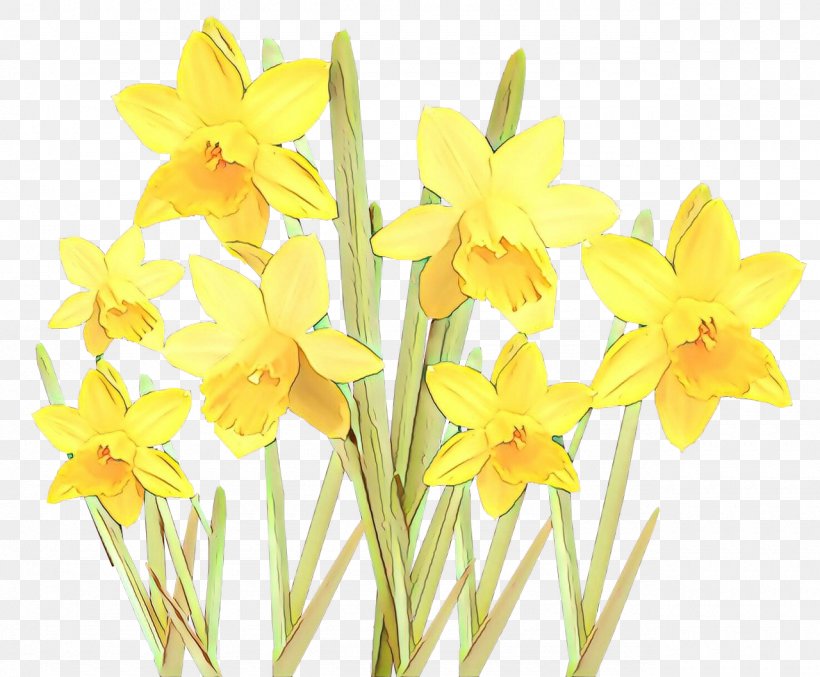 Flowers Background, PNG, 1280x1058px, Floristry, Amaryllis Family, Cut Flowers, Flower, Narcissus Download Free