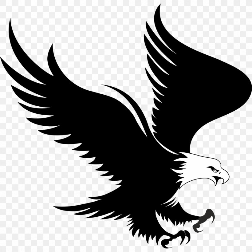Bald Eagle Logo Clip Art, PNG, 1000x1000px, Bald Eagle, Beak, Bird, Bird Of Prey, Black And White Download Free