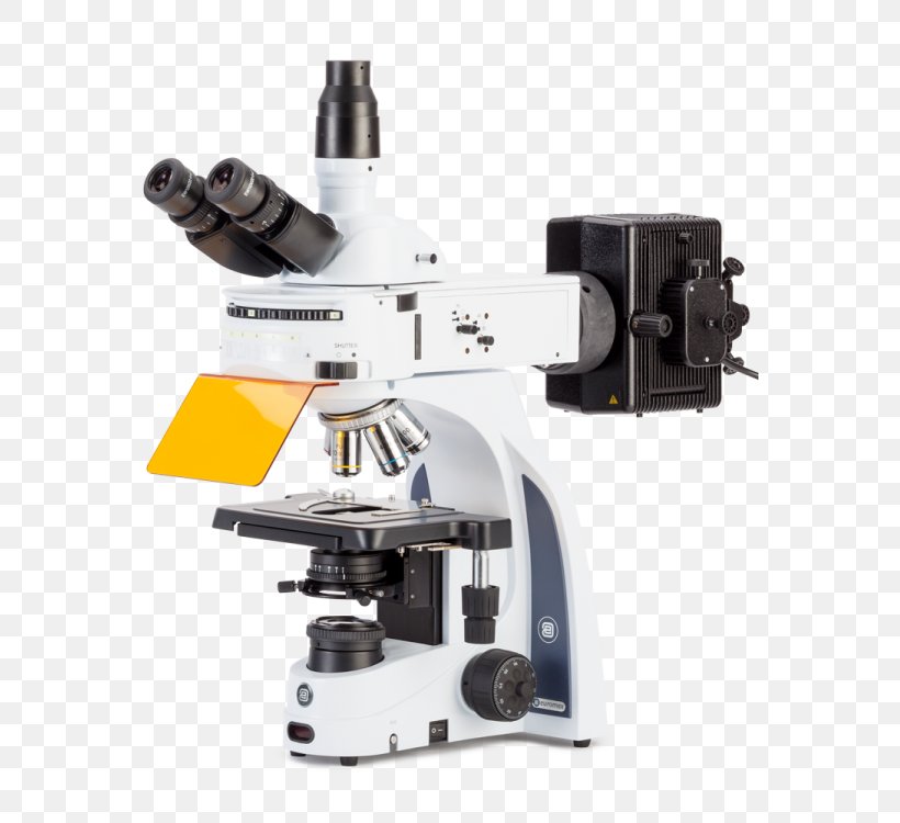 Fluorescence Microscope Microscopy Fluorophore, PNG, 563x750px, Fluorescence Microscope, Atomic Force Microscopy, Biology, Cell, Fluorescence Download Free