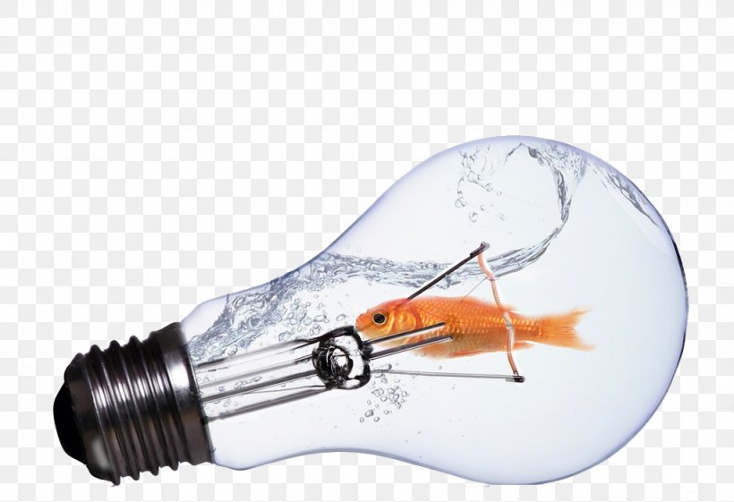 Incandescent Light Bulb Lamp, PNG, 1024x701px, Light, Electricity, Energy, Fish, Gratis Download Free