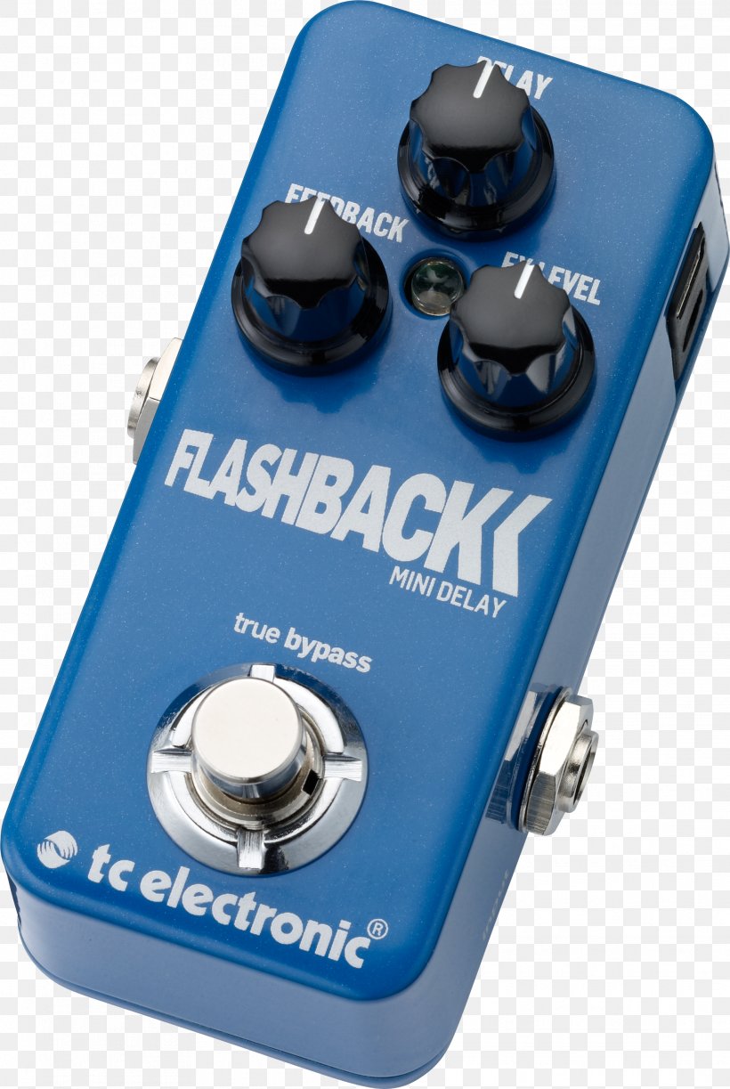 TC Electronic Flashback Mini Delay Effects Processors & Pedals TC Electronic Flashback Delay, PNG, 1969x2939px, Watercolor, Cartoon, Flower, Frame, Heart Download Free