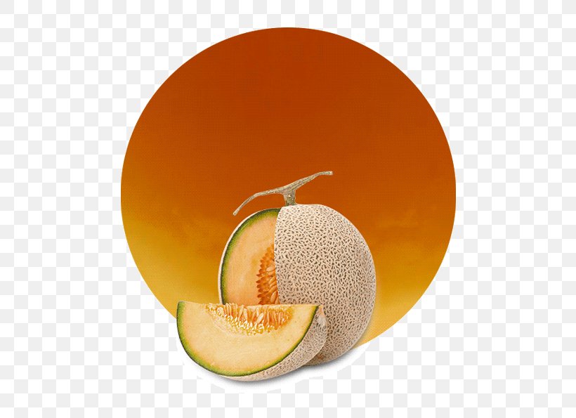 Cantaloupe Juice Vegetarian Cuisine Grapefruit Orange, PNG, 536x595px, Cantaloupe, Citric Acid, Citrus, Concentrate, Cucumber Gourd And Melon Family Download Free