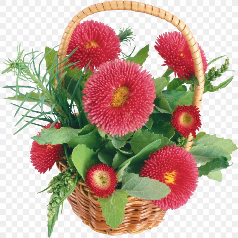 Desktop Wallpaper Birthday Flower Chrysanthemum, PNG, 1600x1599px, Birthday, Aster, Chrysanthemum, Collage, Cut Flowers Download Free