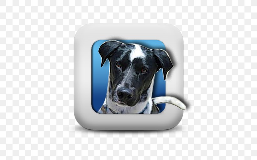 Dog Breed Great Dane YouTube Game Gazima GmbH, PNG, 512x512px, Dog Breed, Carnivoran, Dice, Dog, Dog Collar Download Free