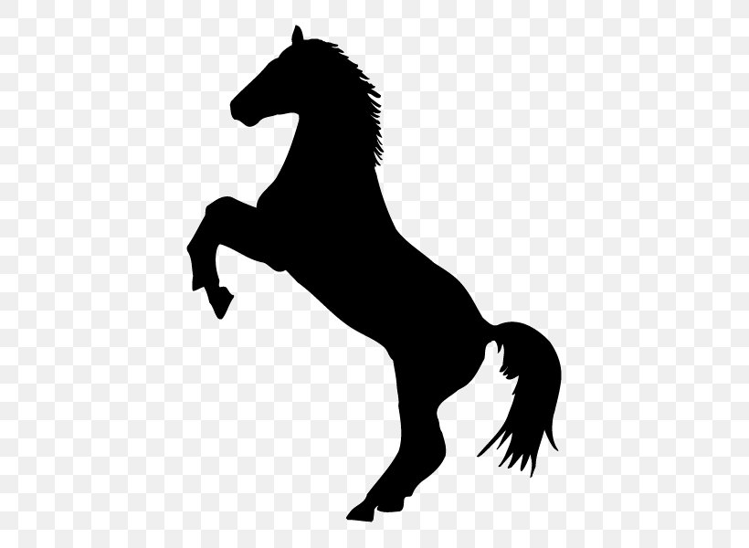 Horse Decal Sticker Rearing Stallion, PNG, 600x600px, Horse, Black And White, Bumper Sticker, Colt, Decal Download Free