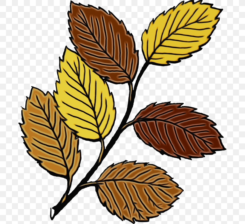 Leaf Drawing Cartoon Plant Stem Logo, PNG, 697x750px, Watercolor, Aquatic Plant, Cartoon, Drawing, Leaf Download Free