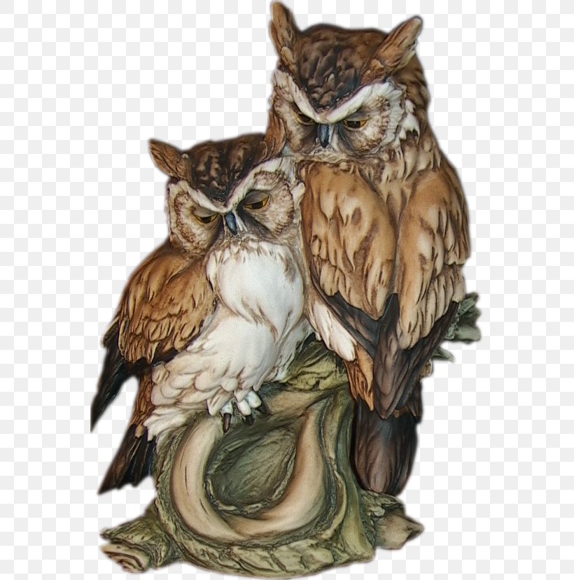 Owl Bird Symbol Animal Information, PNG, 561x829px, Owl, Animal, Athene, Beak, Bird Download Free
