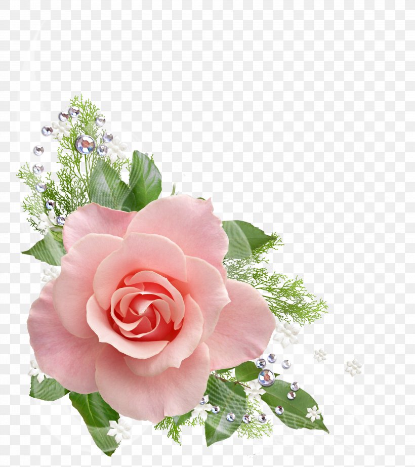Rose Flower Petal Clip Art, PNG, 3551x4000px, Rose, Cut Flowers, Floral Design, Floribunda, Floristry Download Free