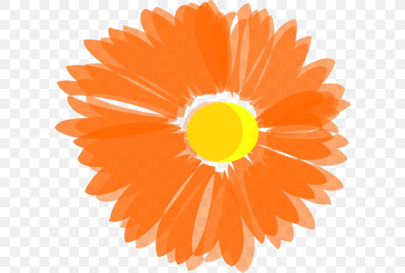 Flower Orange Clip Art, PNG, 600x553px, Flower, Calendula, Color, Daisy Family, Drawing Download Free