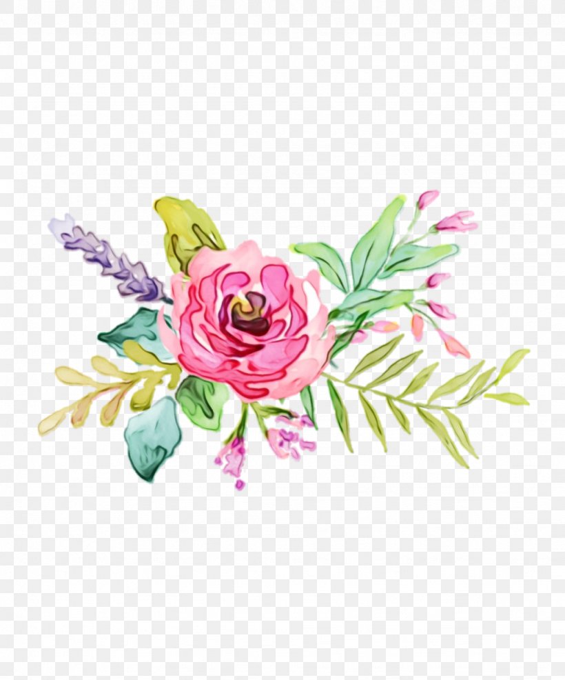 Garden Roses, PNG, 1024x1232px, Watercolor, Cut Flowers, Flower, Garden Roses, Paint Download Free