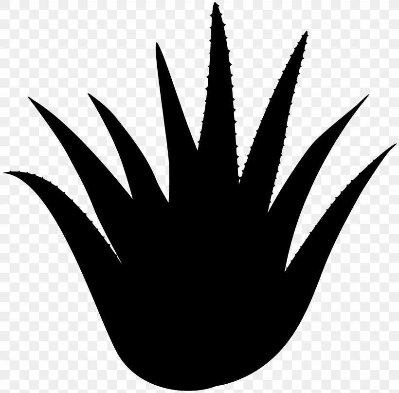 Leaf Clip Art Line Silhouette Tree, PNG, 8000x7874px, Leaf, Agave, Black, Blackandwhite, Hemp Family Download Free