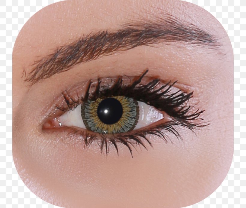 Contact Lenses Eyelash Extensions Brown, PNG, 738x692px, Contact Lenses, Brown, Close Up, Closeup, Color Download Free