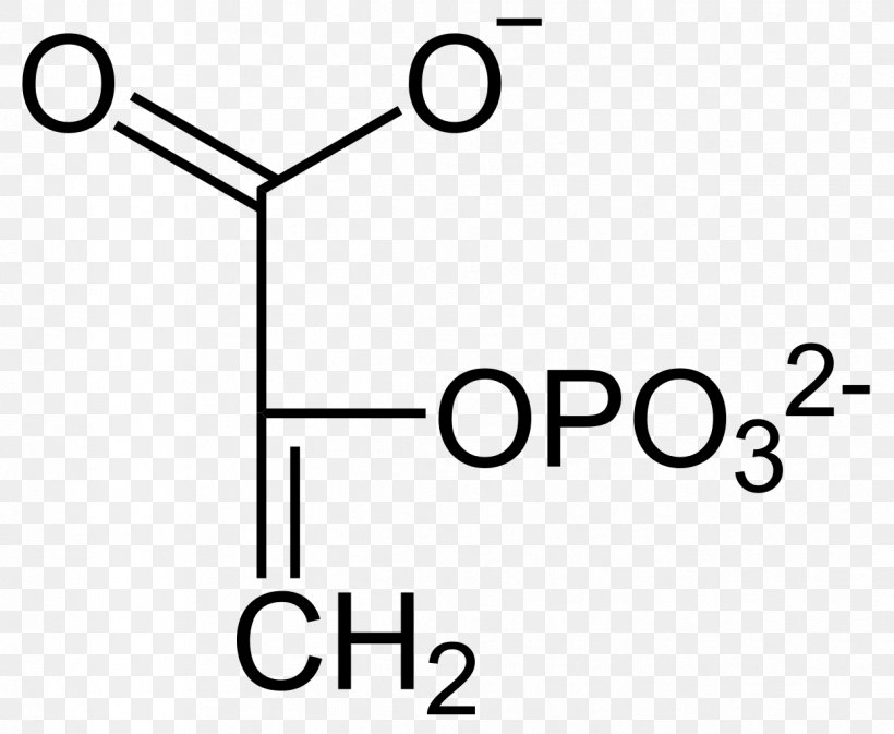 Glycolysis Acrylate Pyruvic Acid Chemistry, PNG, 1247x1024px, Glycolysis, Acid, Acrylate, Acrylic Acid, Area Download Free