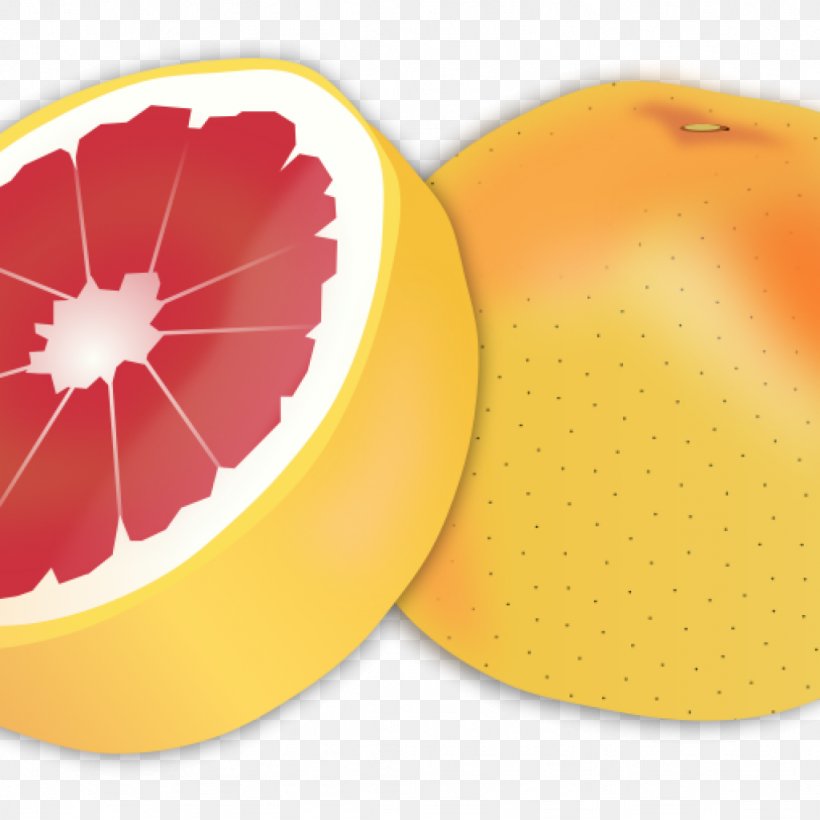 Grapefruit Clip Art Vector Graphics Free Content, PNG, 1024x1024px, Grapefruit, Citrus, Food, Fruit, Orange Download Free