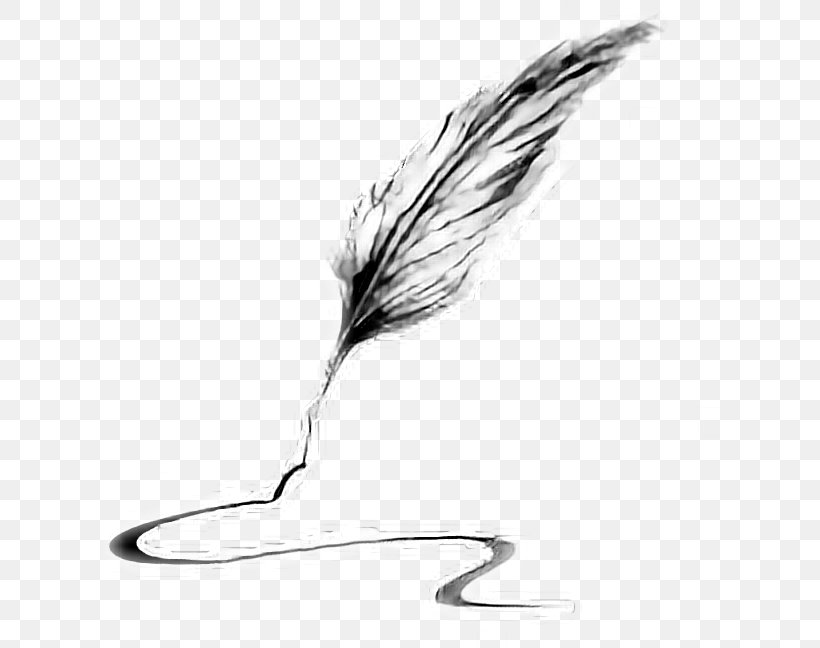 Quill Pen Feather Writing Implement, PNG, 624x648px, Quill, Beak, Bird, Black And White, Depositphotos Download Free
