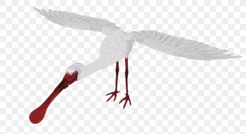 Zoo Tycoon 2 Beak African Spoonbill Spoonbills Bird, PNG, 1024x557px, Zoo Tycoon 2, African Spoonbill, Anatidae, Art, Artist Download Free