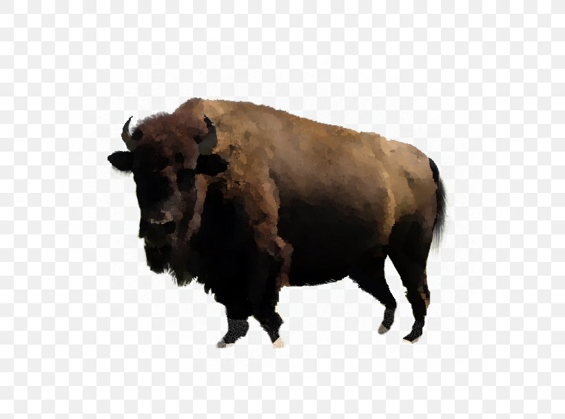 Bison Water Buffalo PDF Cattle, PNG, 757x608px, Bison, Angel, Bull, Cattle, Cattle Like Mammal Download Free