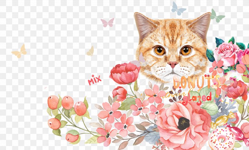 Kitten Cat Cuteness Wallpaper, PNG, 2784x1675px, Cat, Animal, Carnivora, Carnivoran, Cat Like Mammal Download Free