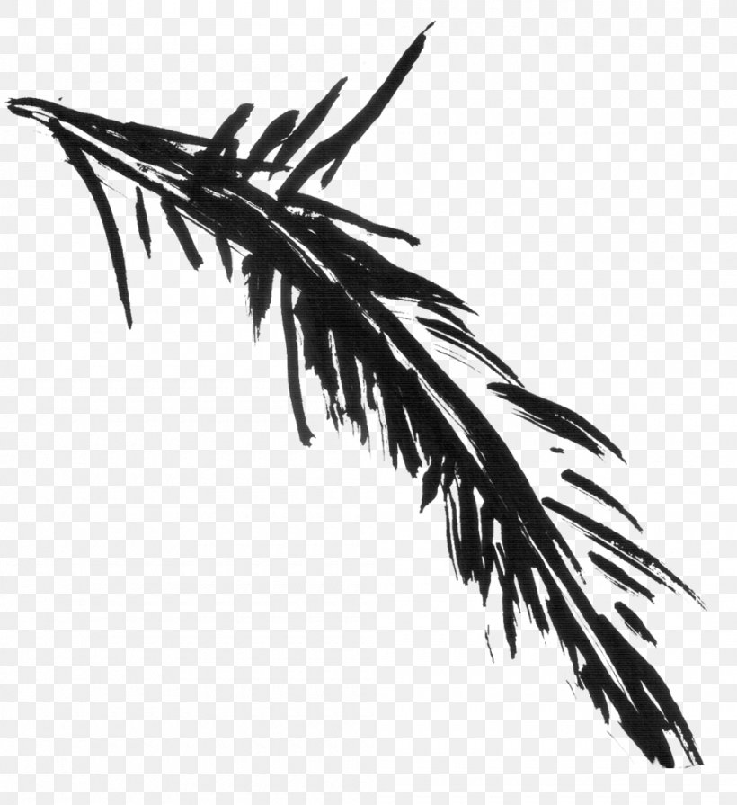 Twig Leaf, PNG, 1000x1092px, Twig, Black And White, Branch, Feather, Leaf Download Free