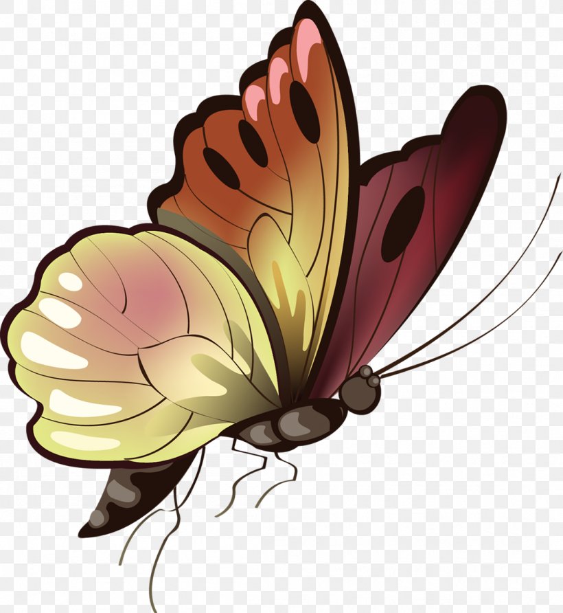 Butterfly Animal Clip Art, PNG, 1103x1200px, Butterfly, Animal, Arthropod, Brush Footed Butterfly, Butterflies And Moths Download Free