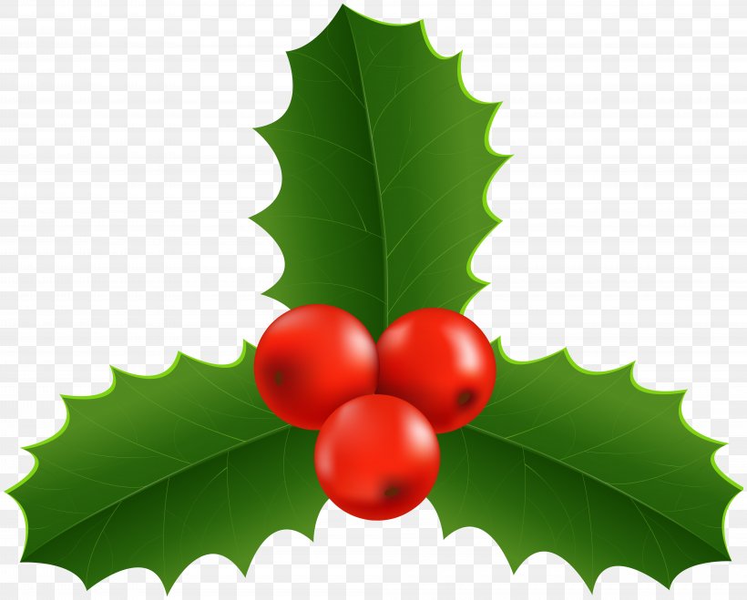 Christmas Tree Cartoon, PNG, 8000x6431px, Christmas Day, American Holly, Cherry, Common Holly, Flower Download Free