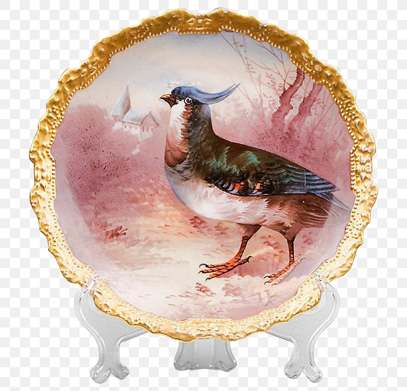 Fauna Beak, PNG, 788x788px, Fauna, Beak, Dishware, Plate Download Free