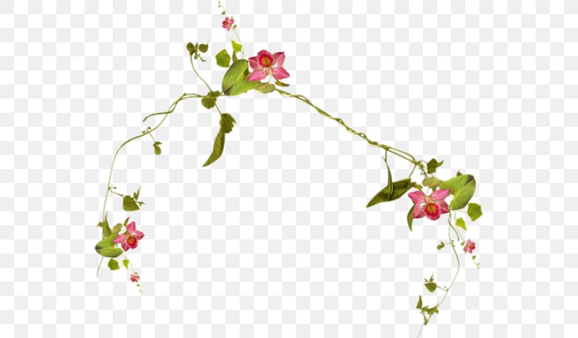 Flowering Plant Twig Flower Arranging, PNG, 551x480px, Liana, Blossom, Branch, Cut Flowers, Flora Download Free