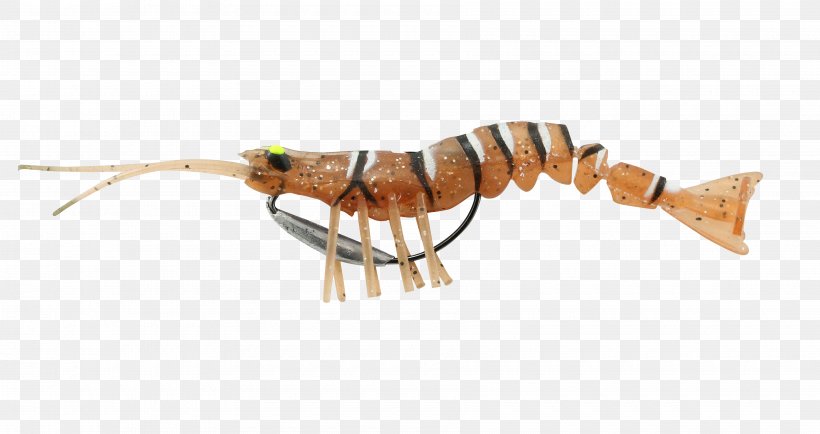 Savage Gear 3D Line Savage Gear 3D Real Trout Swimbait Fishing Baits & Lures Fishery, PNG, 3600x1908px, Fishing, Animal Source Foods, Decapoda, Decapods, Fishery Download Free
