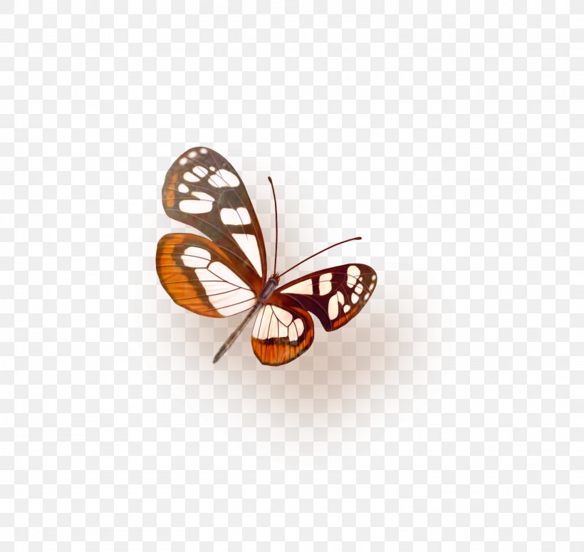 Butterfly Icon, PNG, 1509x1427px, Butterfly, Arthropod, Brush Footed Butterfly, Butterflies And Moths, Data Download Free