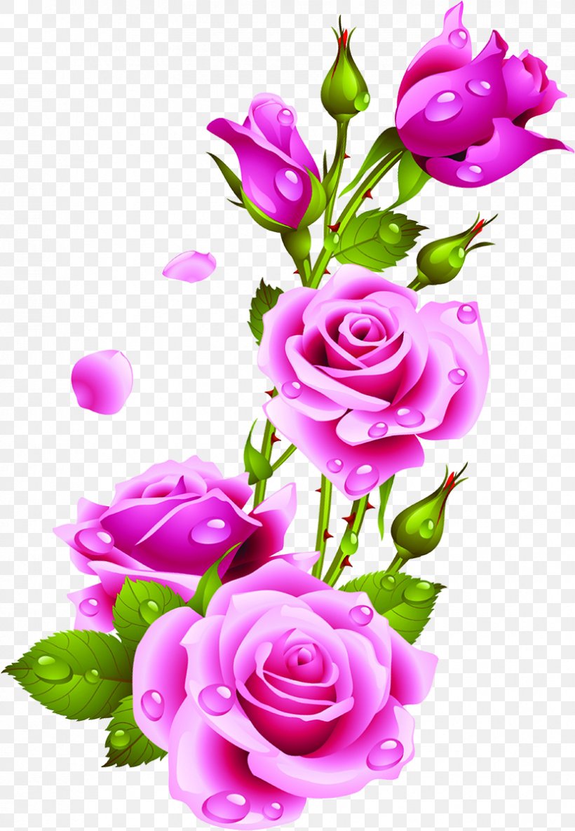 Clip Art Desktop Wallpaper Rose Image Flower, PNG, 830x1200px, Rose,  Artificial Flower, Blog, Cut Flowers, Floral