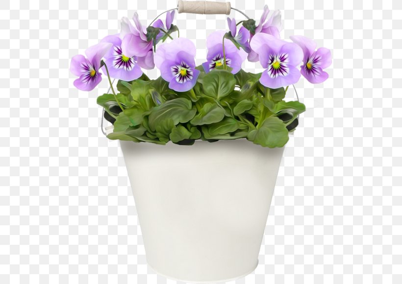 Pansy Flower Clip Art, PNG, 545x580px, Pansy, Aubretia, Blume, California Golden Violet, Dahlia Download Free
