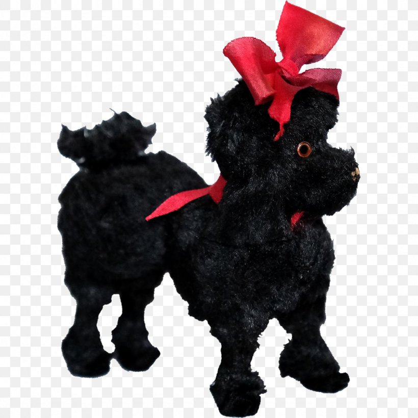 Schnoodle Affenpinscher Scottish Terrier Dog Breed Puppy, PNG, 1075x1075px, Schnoodle, Affenpinscher, Animal, Breed, Canidae Download Free