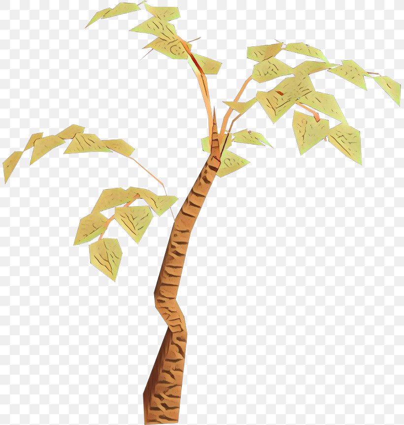 Birch Tree, PNG, 809x862px, Twig, Branch, Canoe Birch, Flower, Flowerpot Download Free