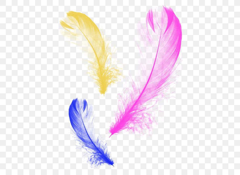 Feather Graphic Design, PNG, 456x600px, Feather, Cartoon, Designer, Google Images, Jianzi Download Free