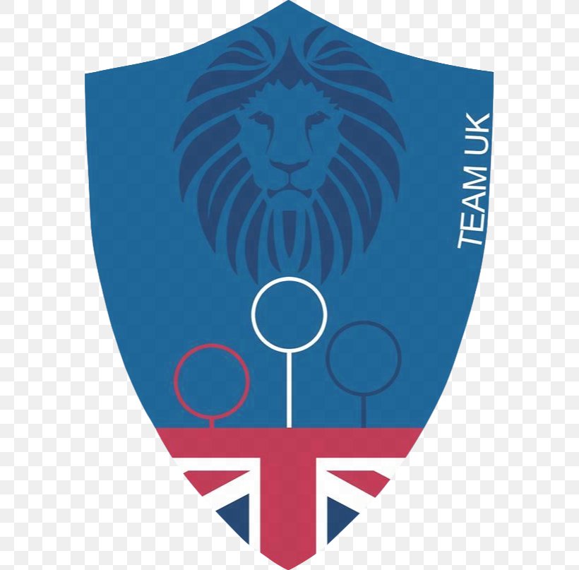 Garrï Potter Logo Hermione Granger United Kingdom National Quidditch Team, PNG, 580x807px, Logo, Blue, Brand, Electric Blue, Google Logo Download Free