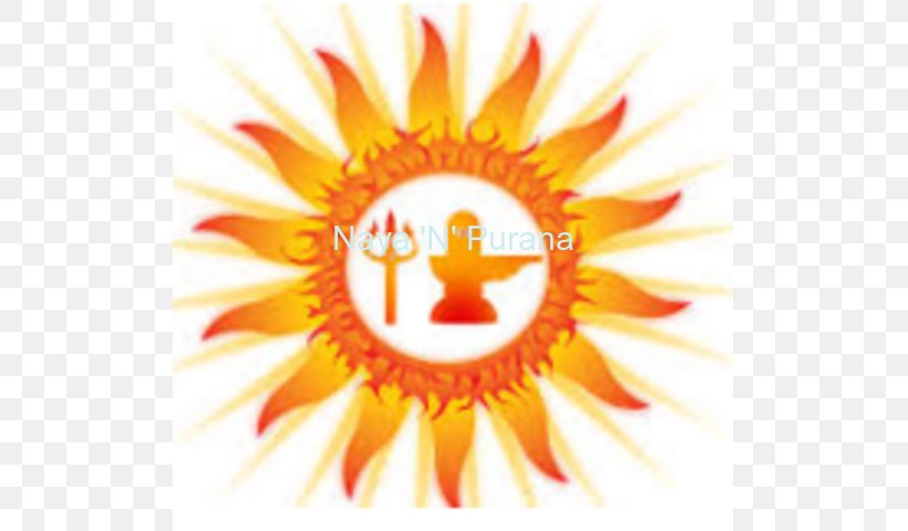 Mahadeva Lingam Maha Shivaratri Puja Rudra, PNG, 640x480px, Mahadeva, Close Up, Daisy Family, Devi, Flower Download Free