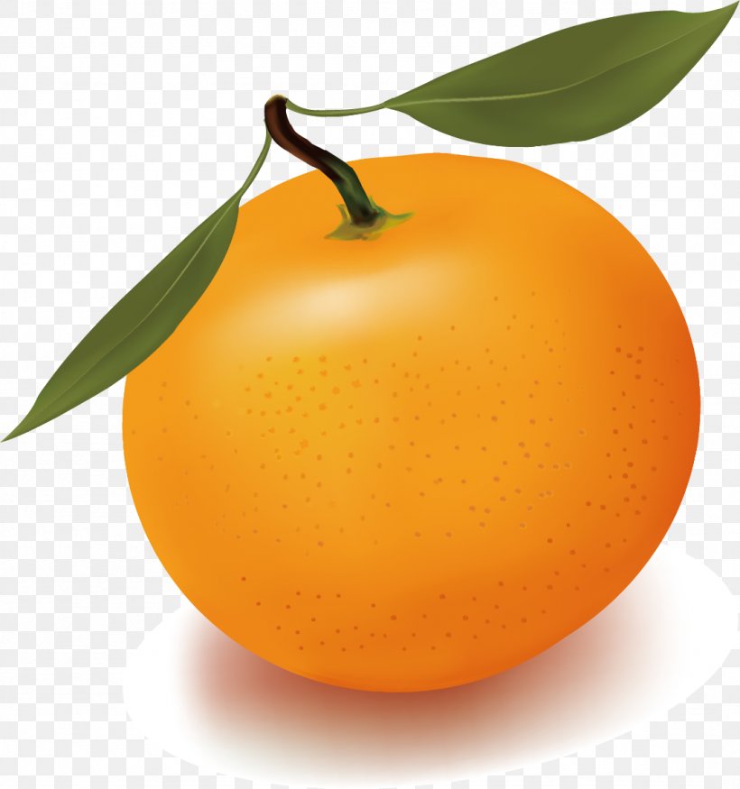 Orange Juice Free Content Clip Art, PNG, 1076x1149px, Orange Juice, Apple, Apricot, Bitter Orange, Blog Download Free