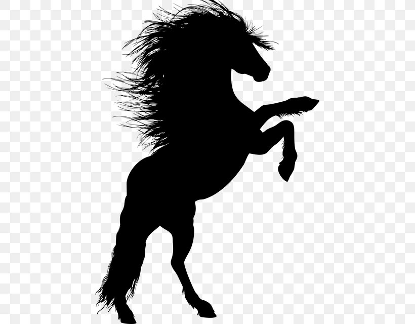 Stallion Horse Rearing Silhouette Clip Art, PNG, 443x640px, Stallion, Black And White, Carnivoran, Collection, Dog Like Mammal Download Free