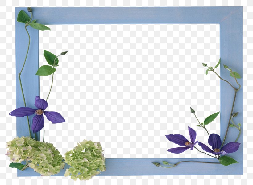 Picture Frames PhotoScape Floral Design, PNG, 800x600px, Picture Frames, Author, Border, Branch, Cut Flowers Download Free