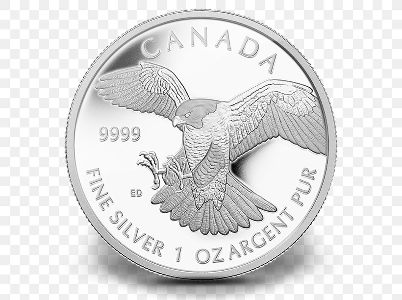 Silver Coin Peregrine Falcon, PNG, 640x612px, Silver Coin, Bullion, Coin, Coining, Currency Download Free