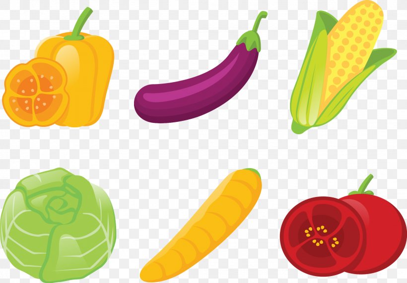 Vegetable Illustration, PNG, 2208x1533px, Vegetable, Diet Food, Food, Fruit, Geometric Shape Download Free