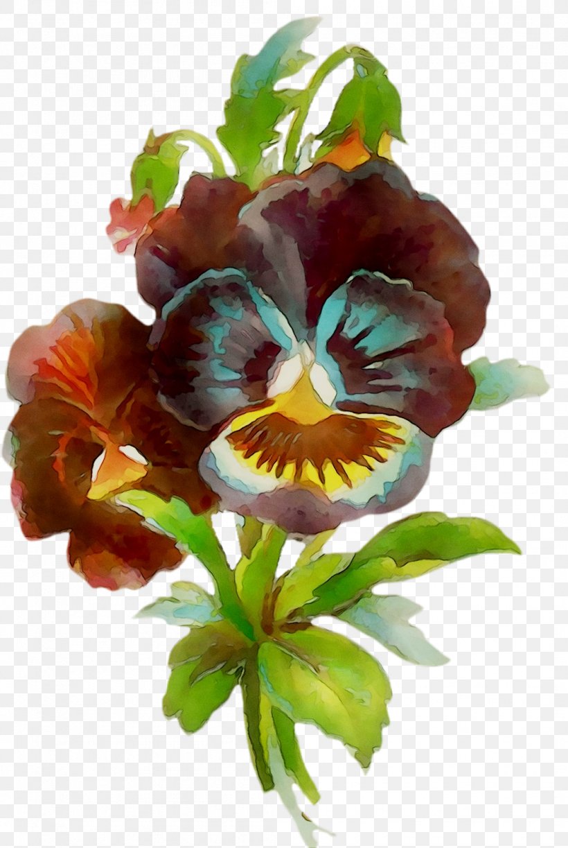 Pansy Cut Flowers, PNG, 1055x1574px, Pansy, Cut Flowers, Flower, Flowering Plant, Iris Download Free