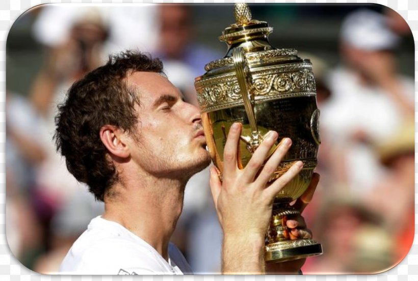 Andy Murray 2013 Wimbledon Championships 2017 Wimbledon Championships – Men's Singles The US Open (Tennis) Autograph, PNG, 1311x884px, 2013 Wimbledon Championships, Andy Murray, Alcohol, Andre Agassi, Andy Roddick Download Free